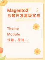 Magento2后端开发高级实战