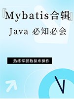 Mybatis合辑5-注解、扩展、SQL构建