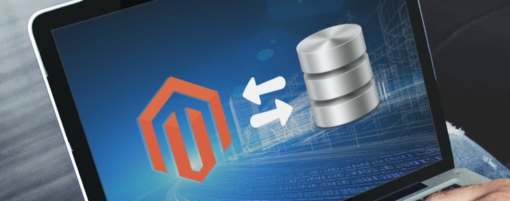 Magento 2: 如何在订单中增加新字段