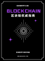 区块链权威指南(中)	