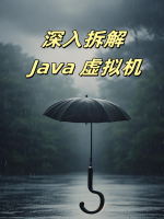 深入拆解 Java 虚拟机